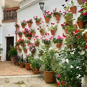 Amal Casa De Huespedes Appartement